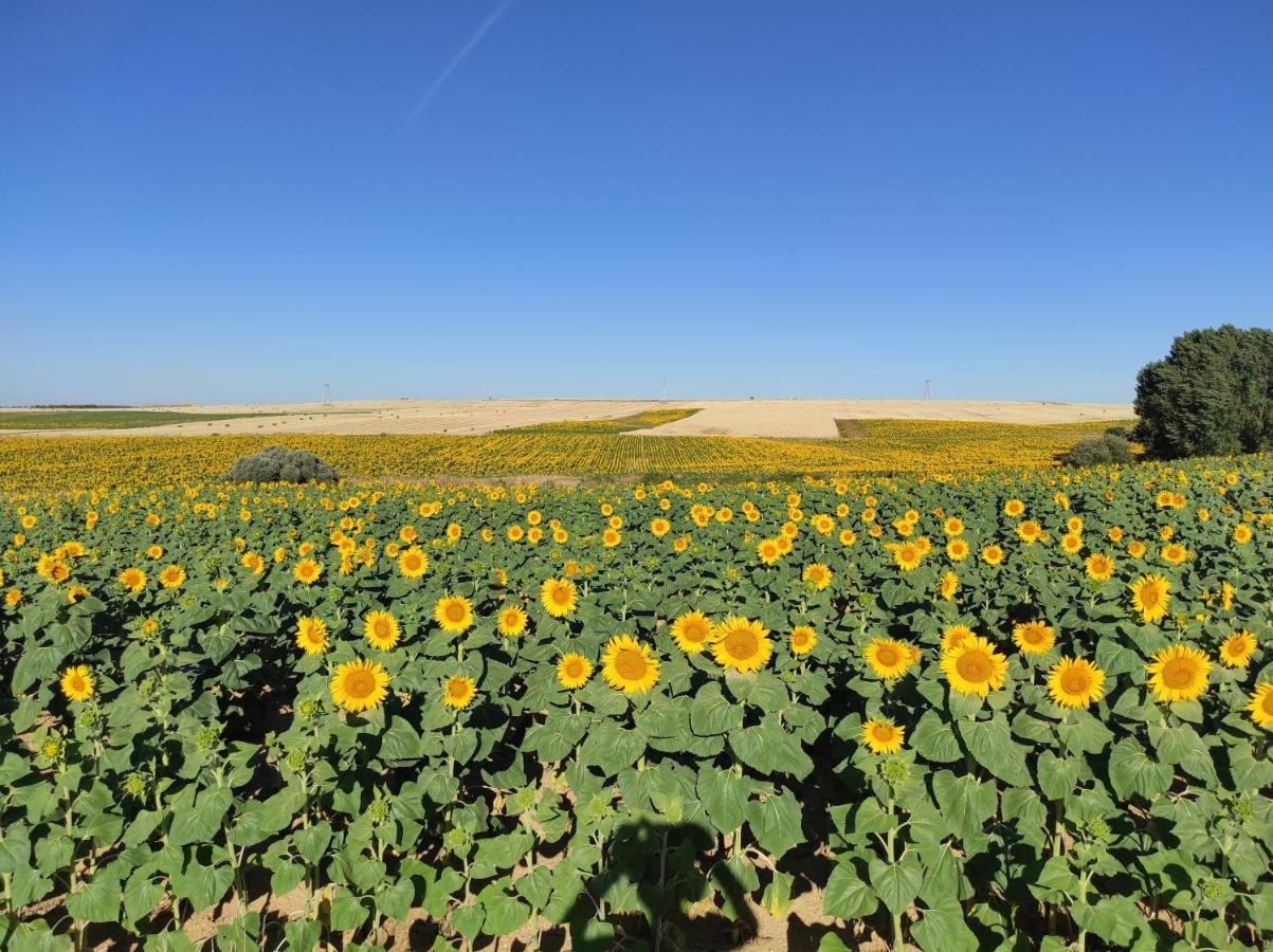 Vinarius, Posada Rural Castellanos de Villiquera Eksteriør billede