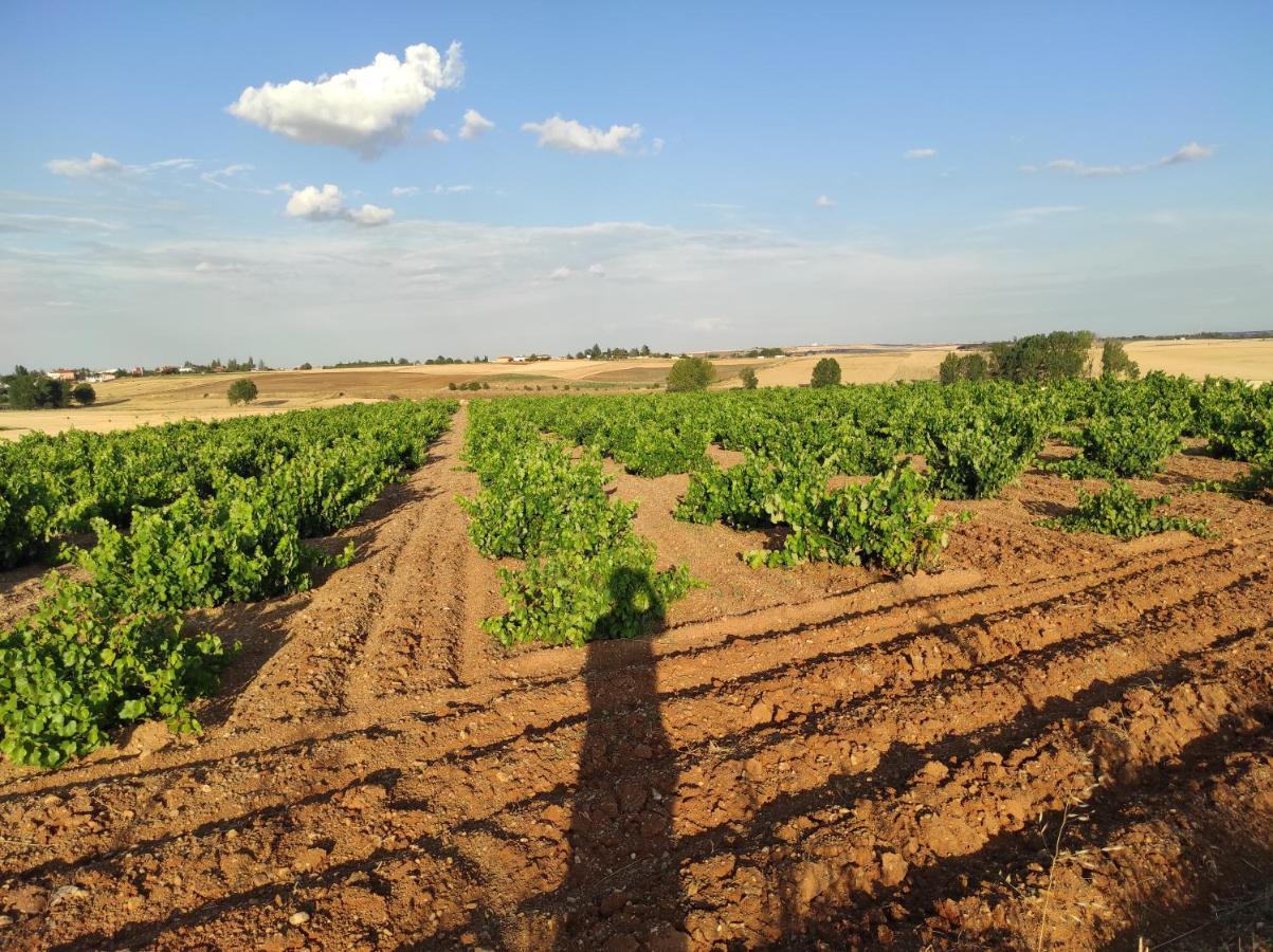 Vinarius, Posada Rural Castellanos de Villiquera Eksteriør billede